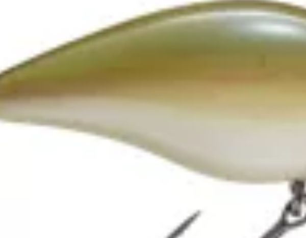 Strike King KVD 2.5 Wakebait