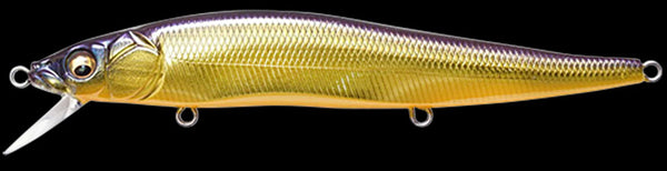 MEGABASS VISION 110