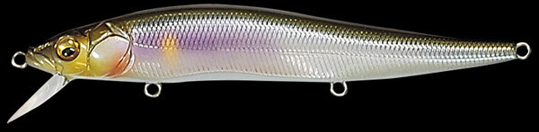 MEGABASS VISION 110