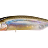 Megabass Karashi 80