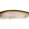 Megabass Karashi 80