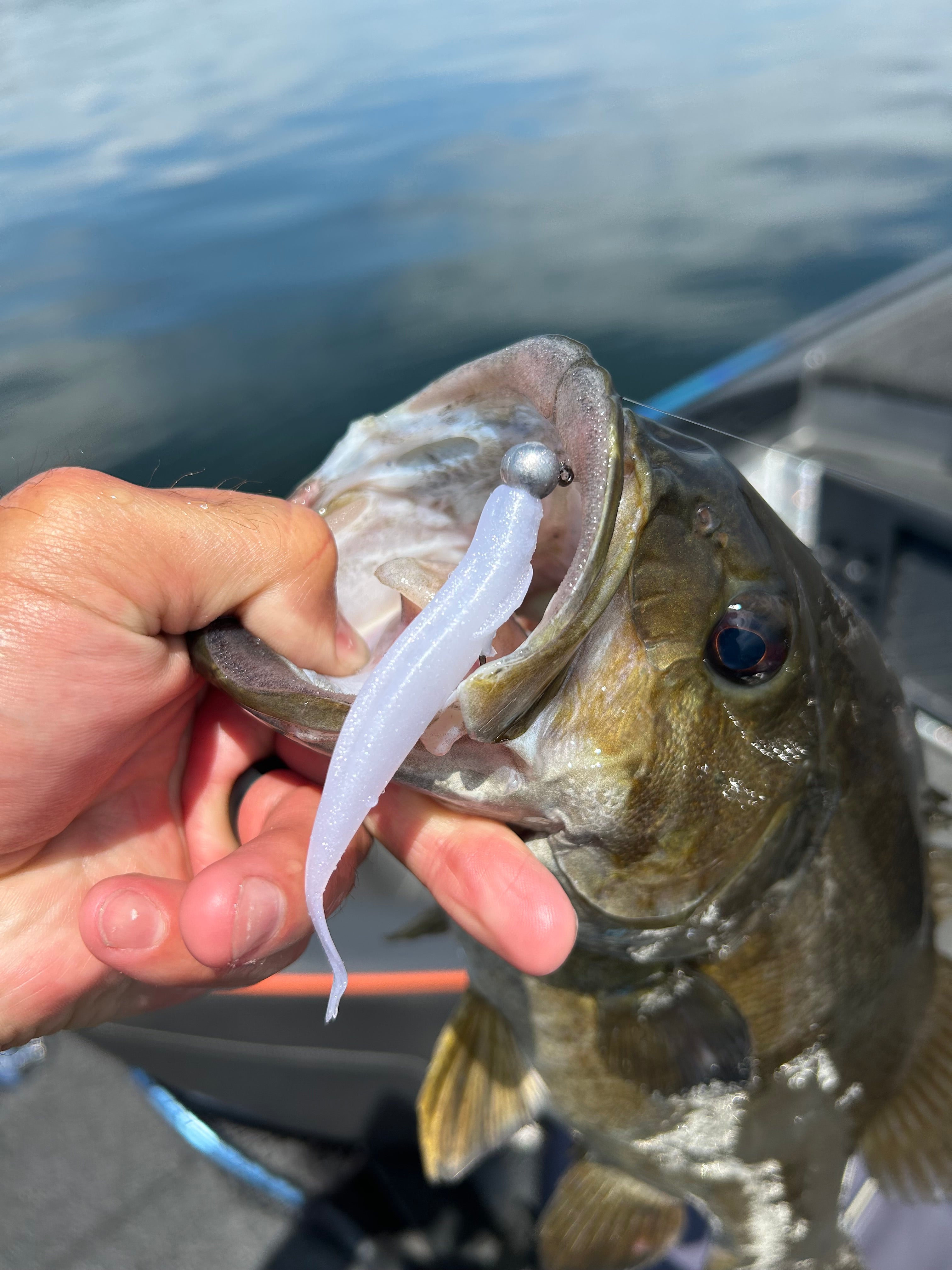 bite me fishing hook BITE ME TACKLE SCOPER 1/0