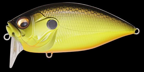 MEGABASS O.R.C.